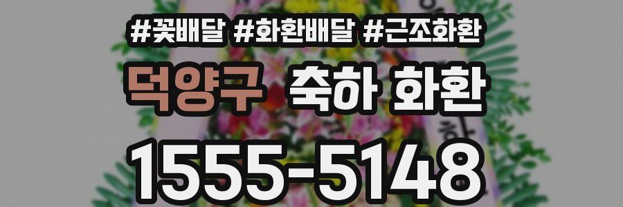 덕양구 축하 화환