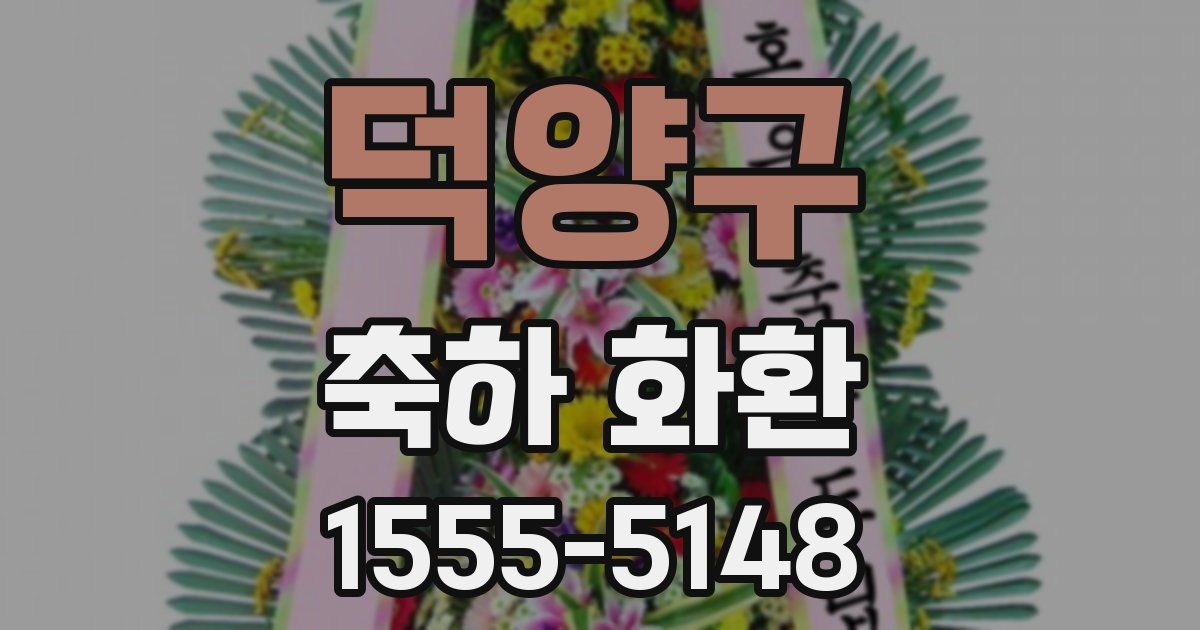 덕양구 축하 화환
