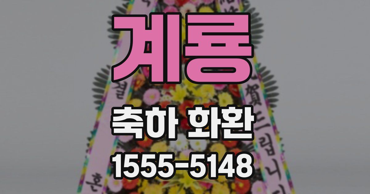 계룡 축하 화환