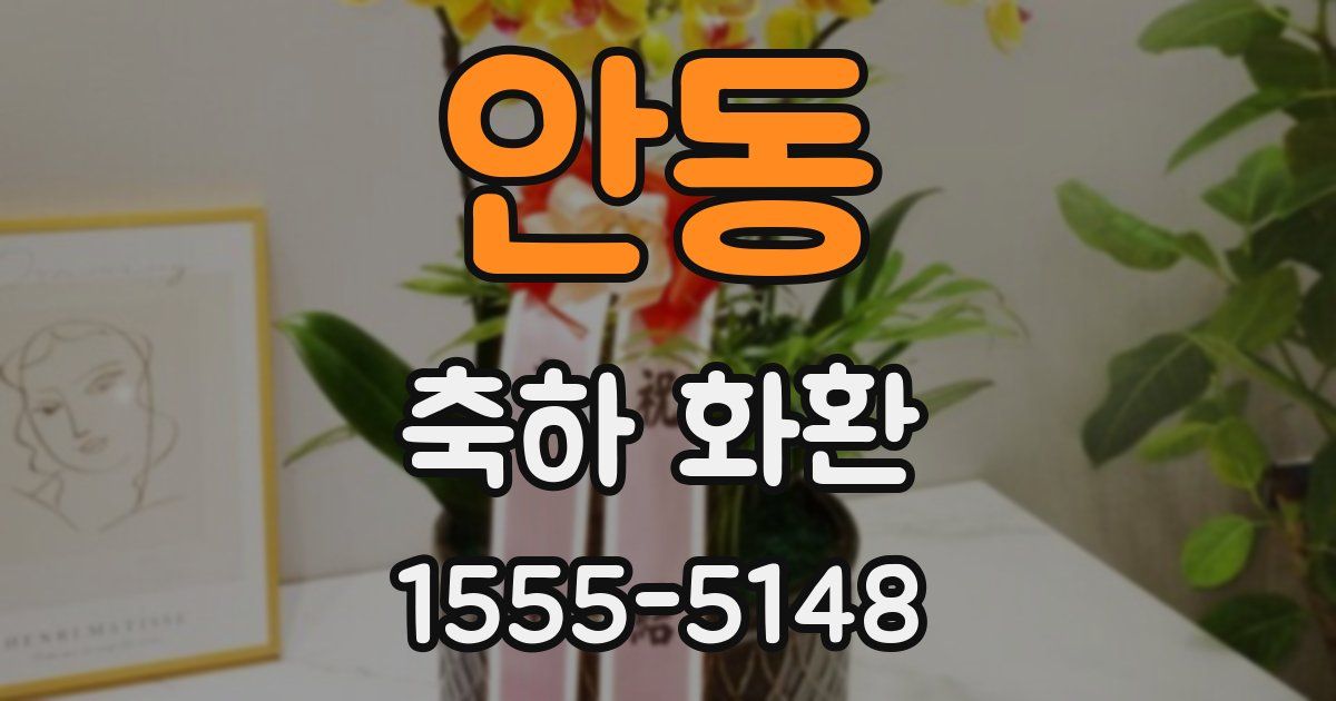 안동 축하 화환