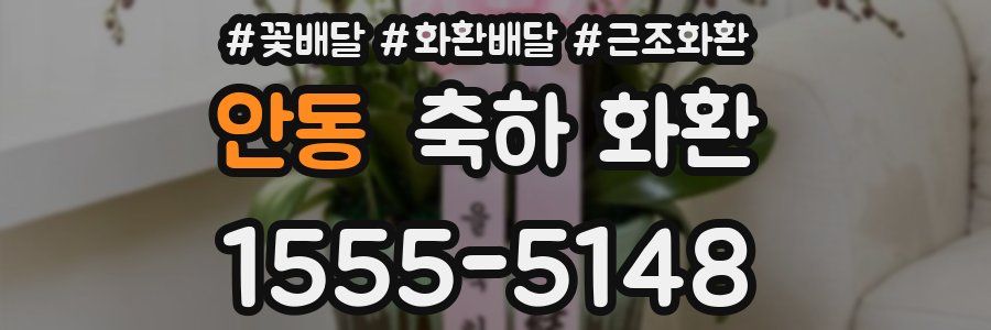 안동 축하 화환
