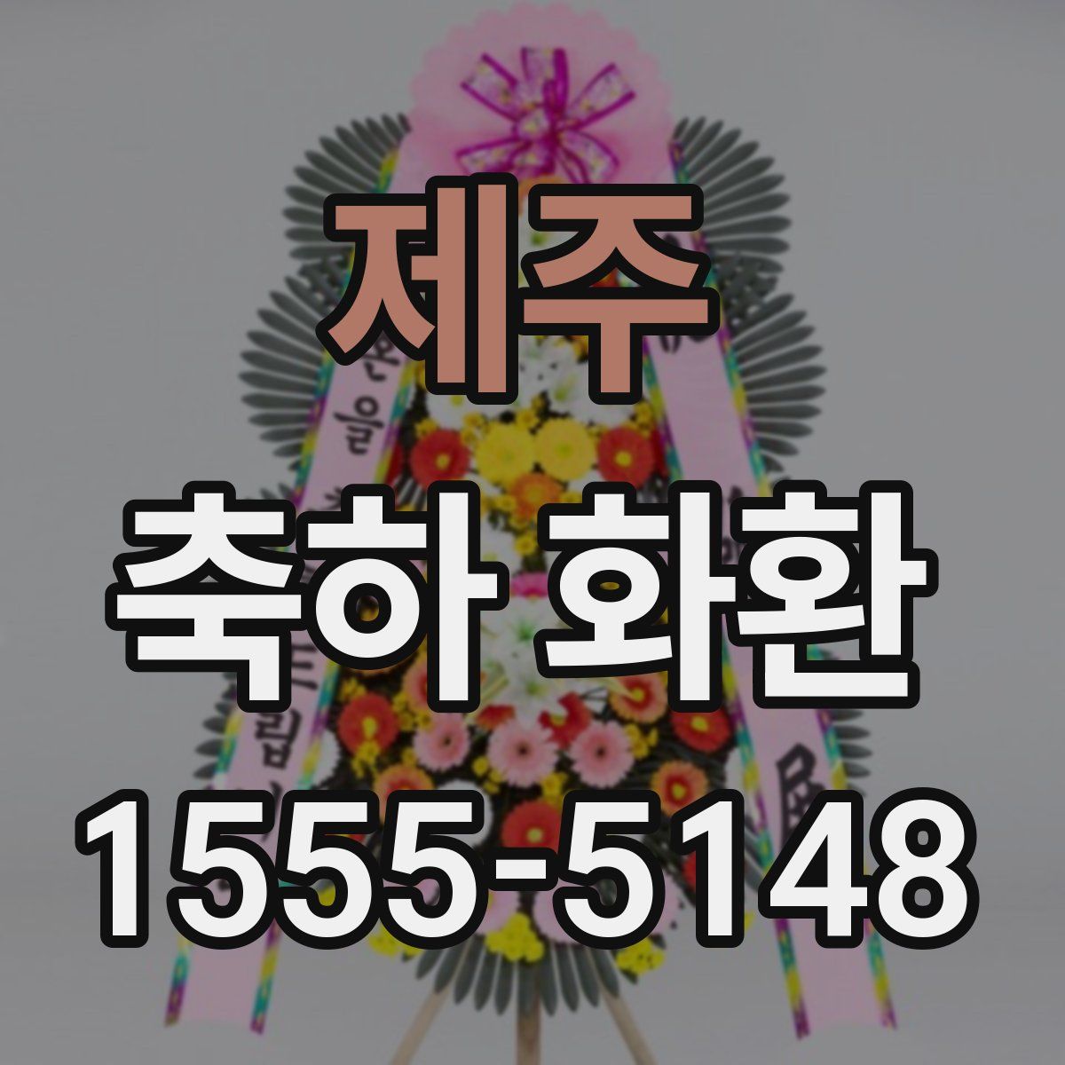 제주 축하 화환