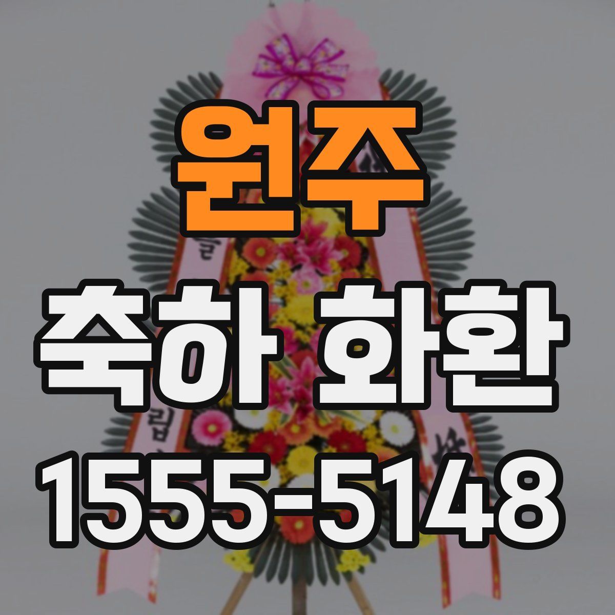 원주 축하 화환