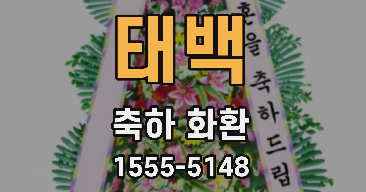 태백 축하 화환