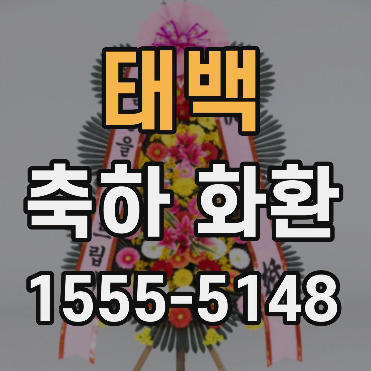 태백 축하 화환