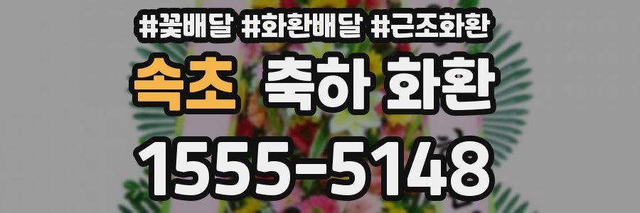 속초 축하 화환