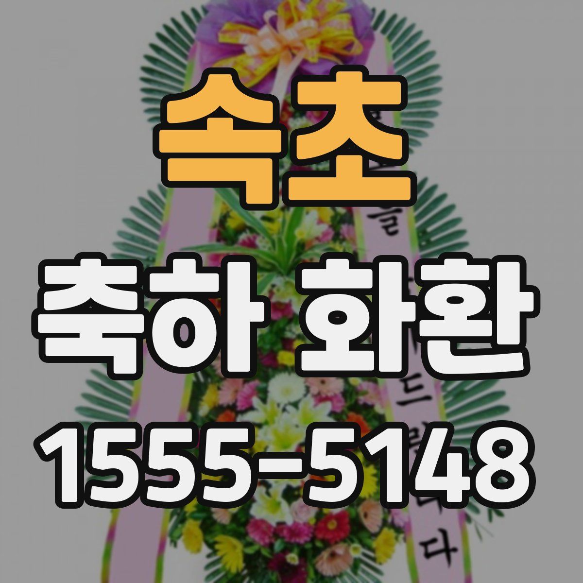 속초 축하 화환