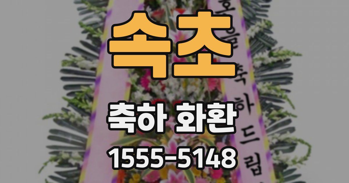속초 축하 화환