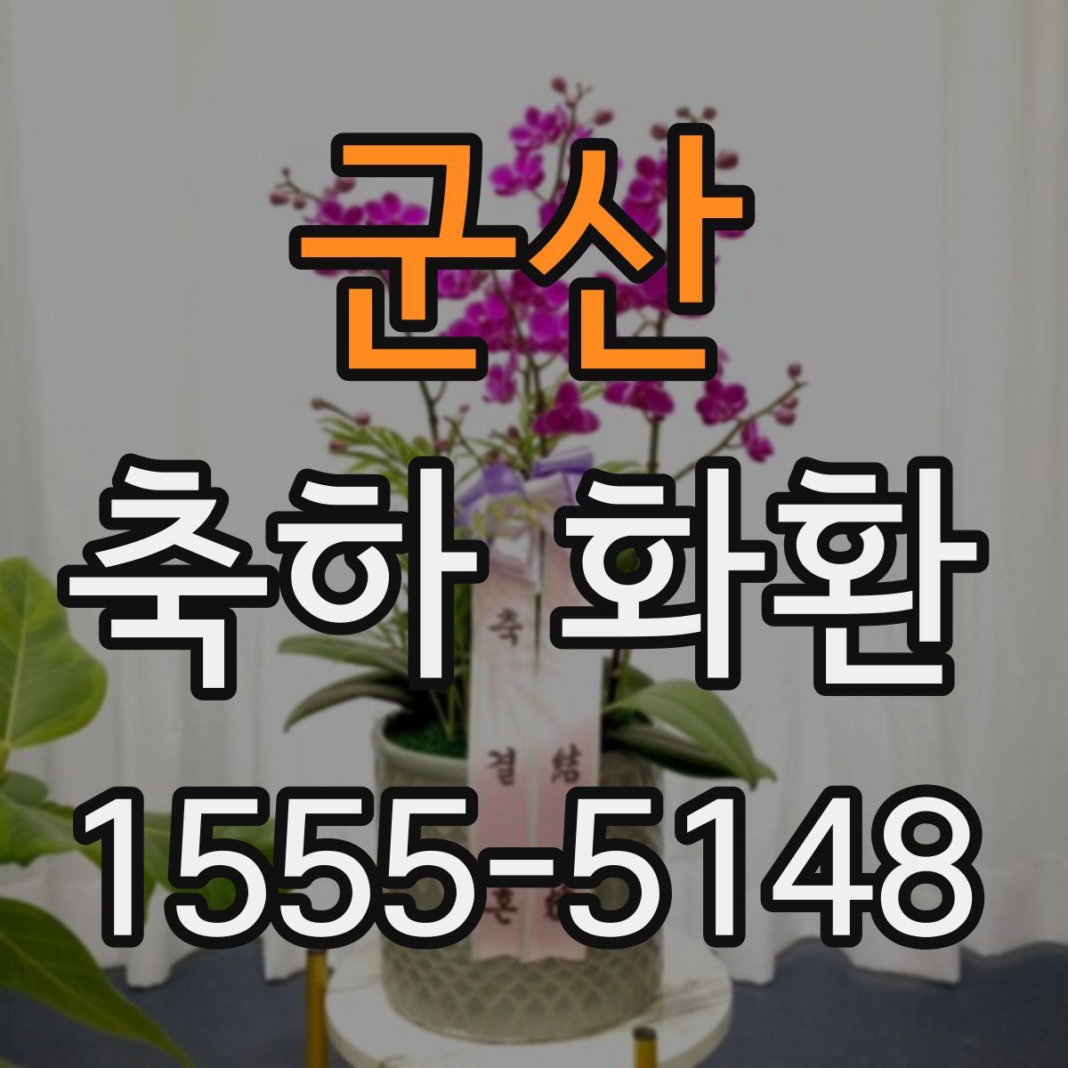 군산 축하 화환