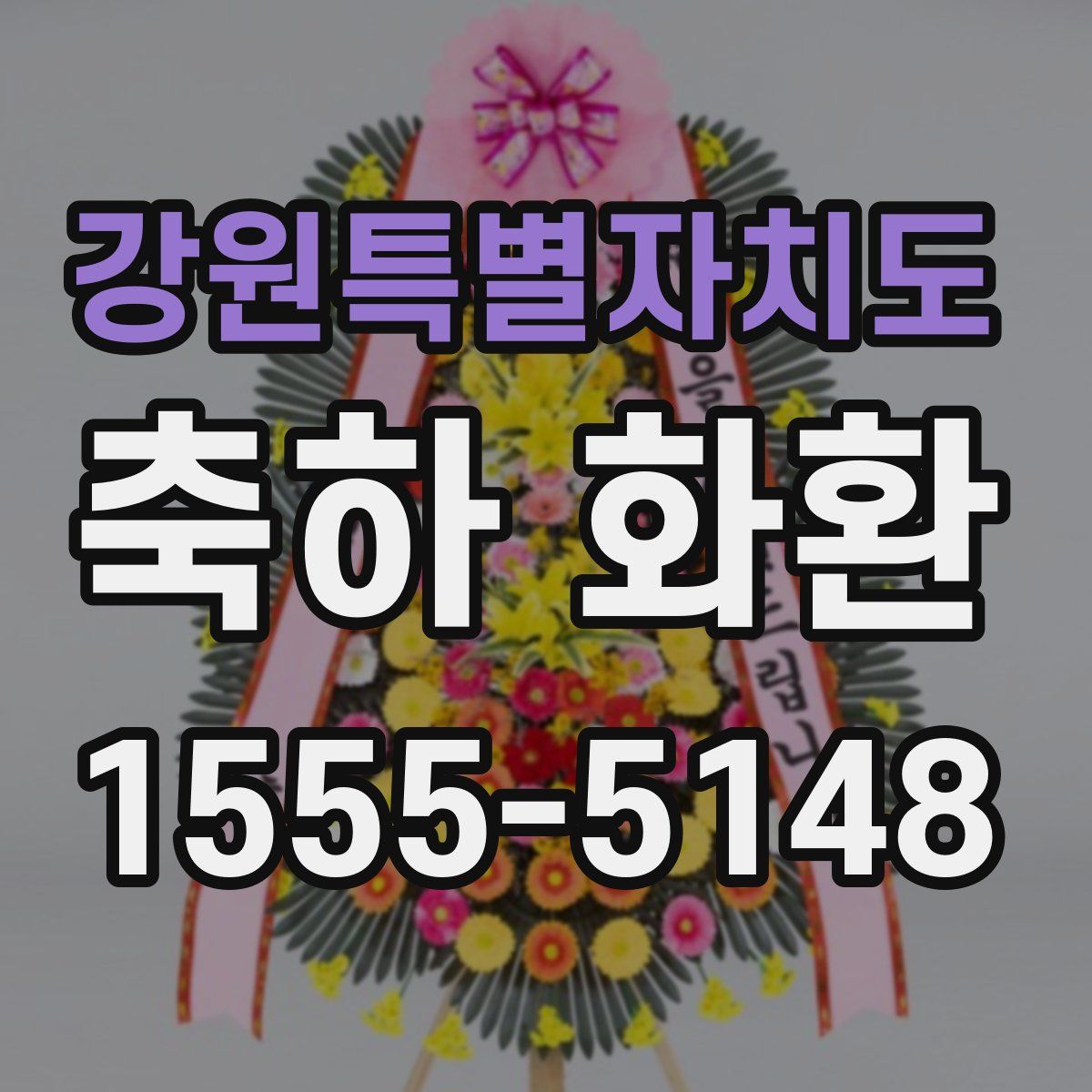 강원특별자치도 축하 화환