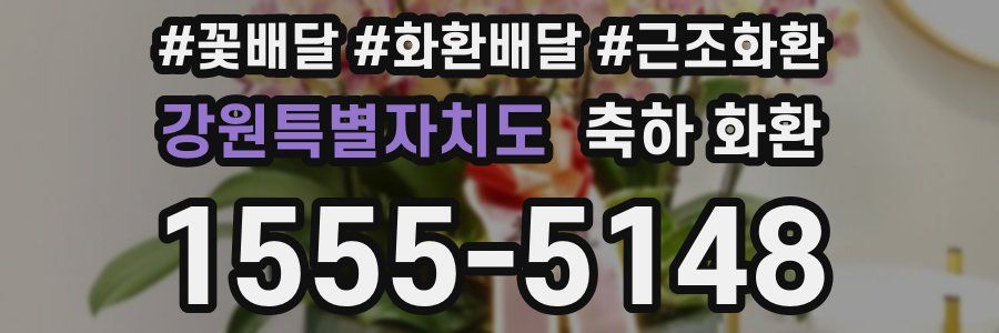 강원특별자치도 축하 화환