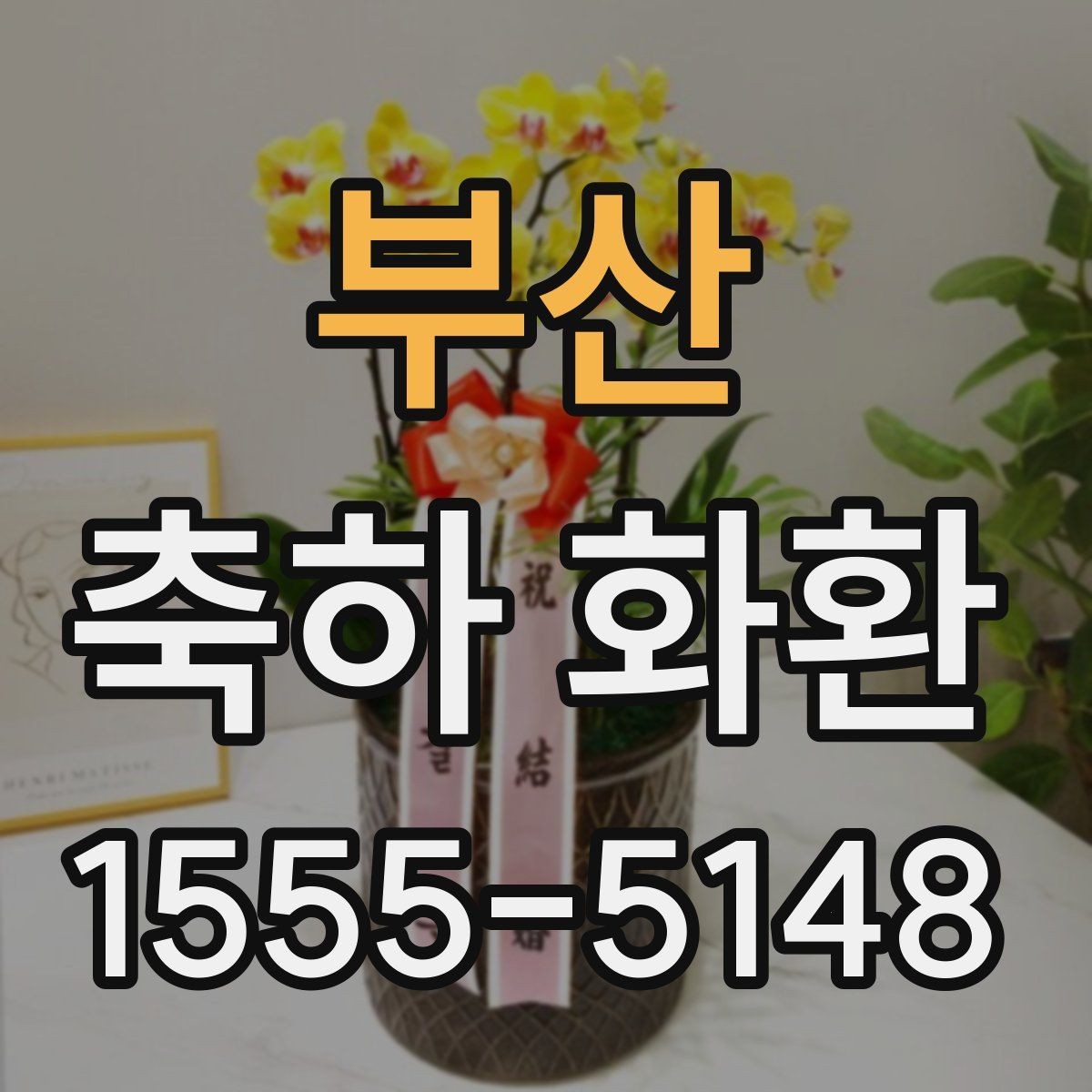 부산 축하 화환 크기별 차이와 활용