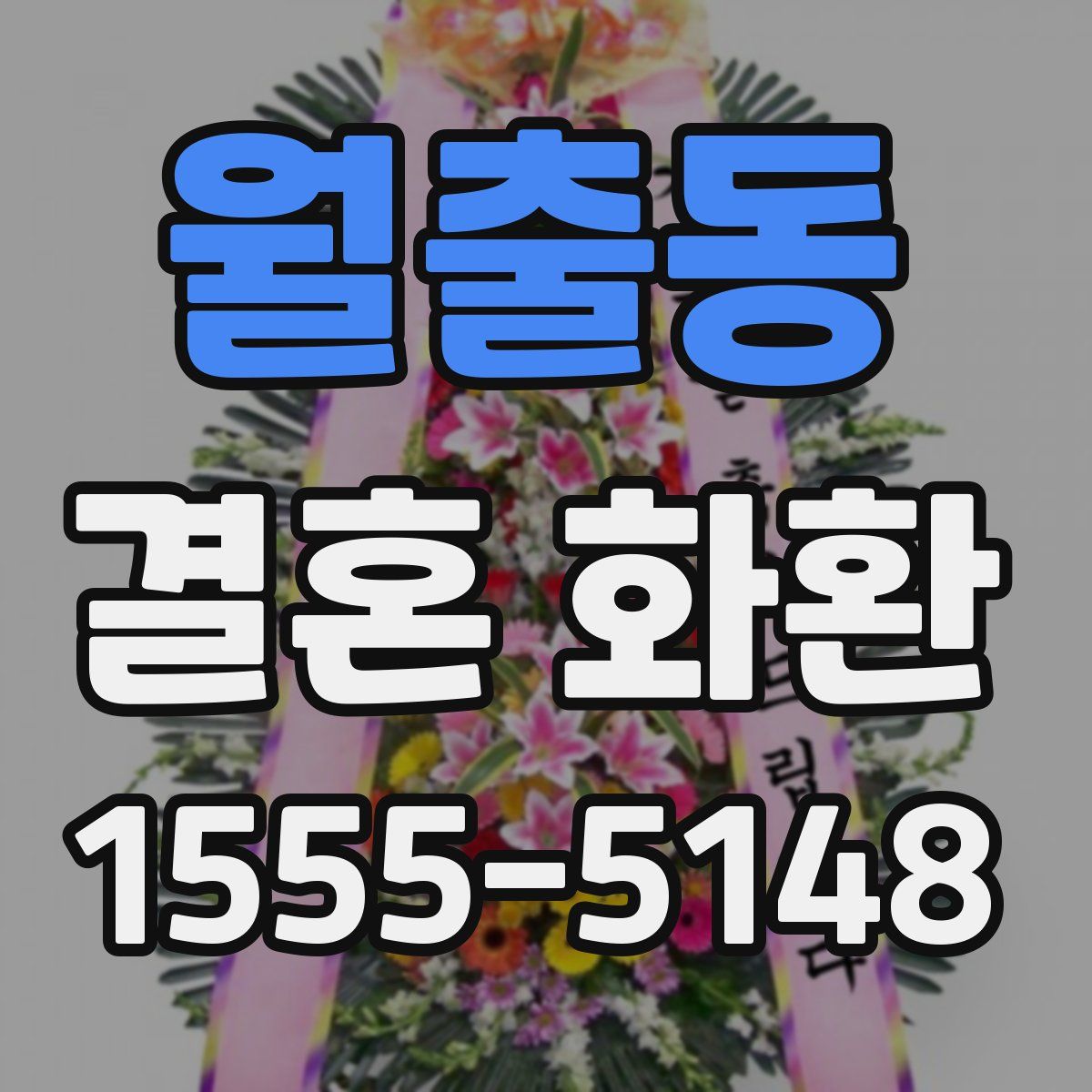 월출동 결혼 화환