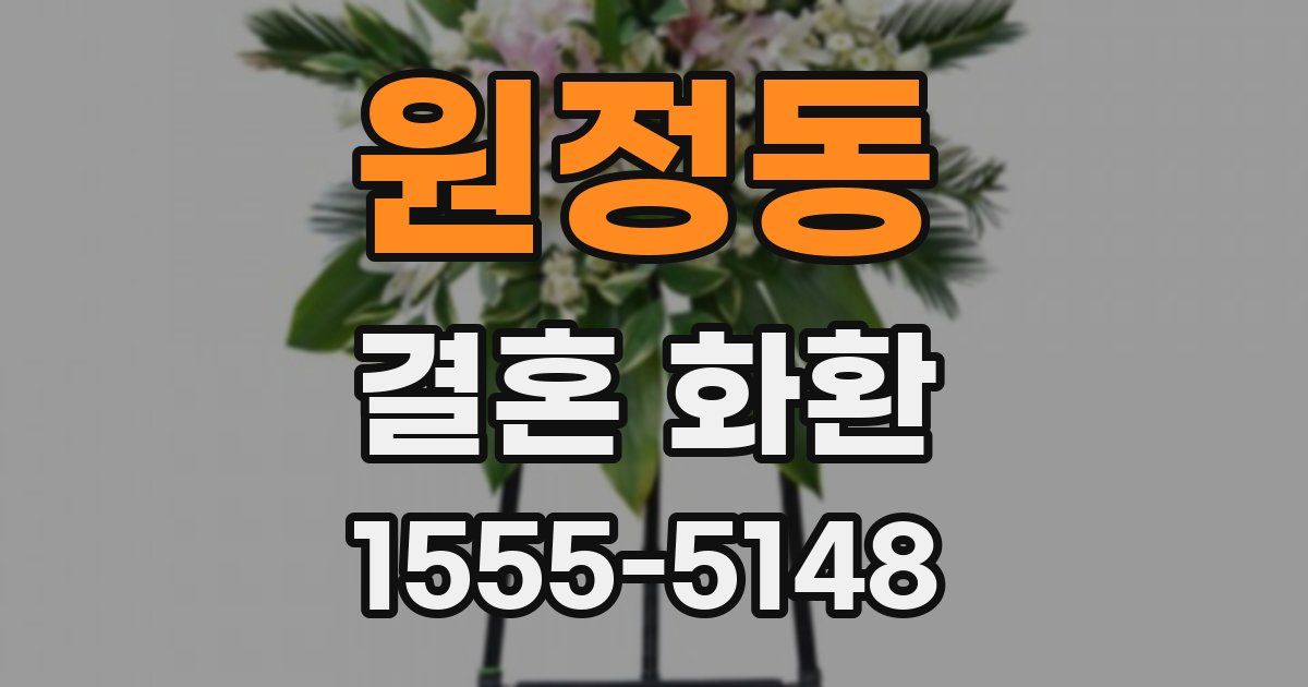 원정동 결혼 화환