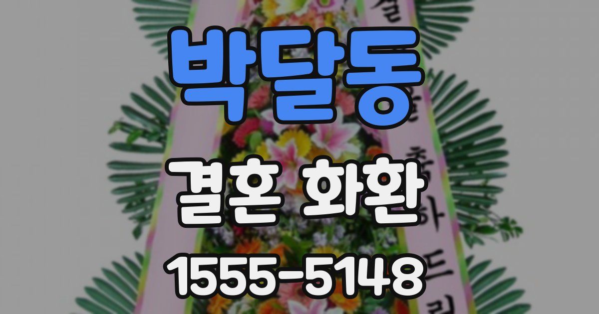 박달동 결혼 화환