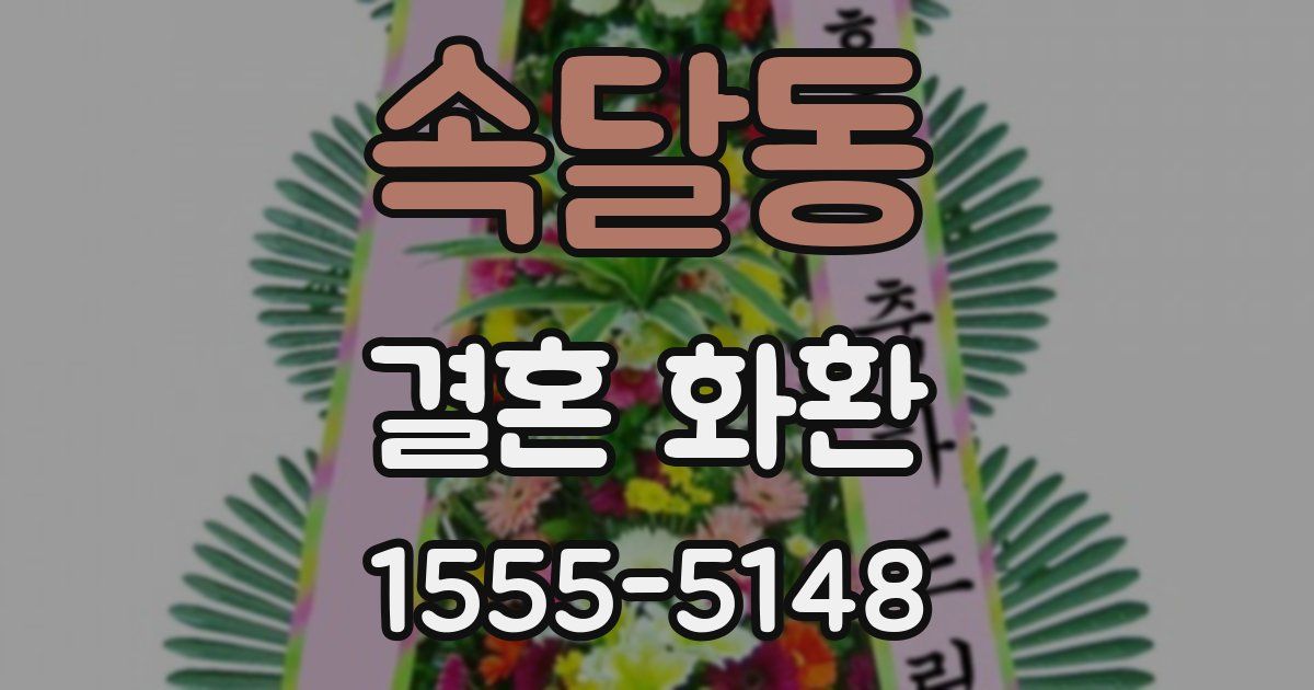 속달동 결혼 화환