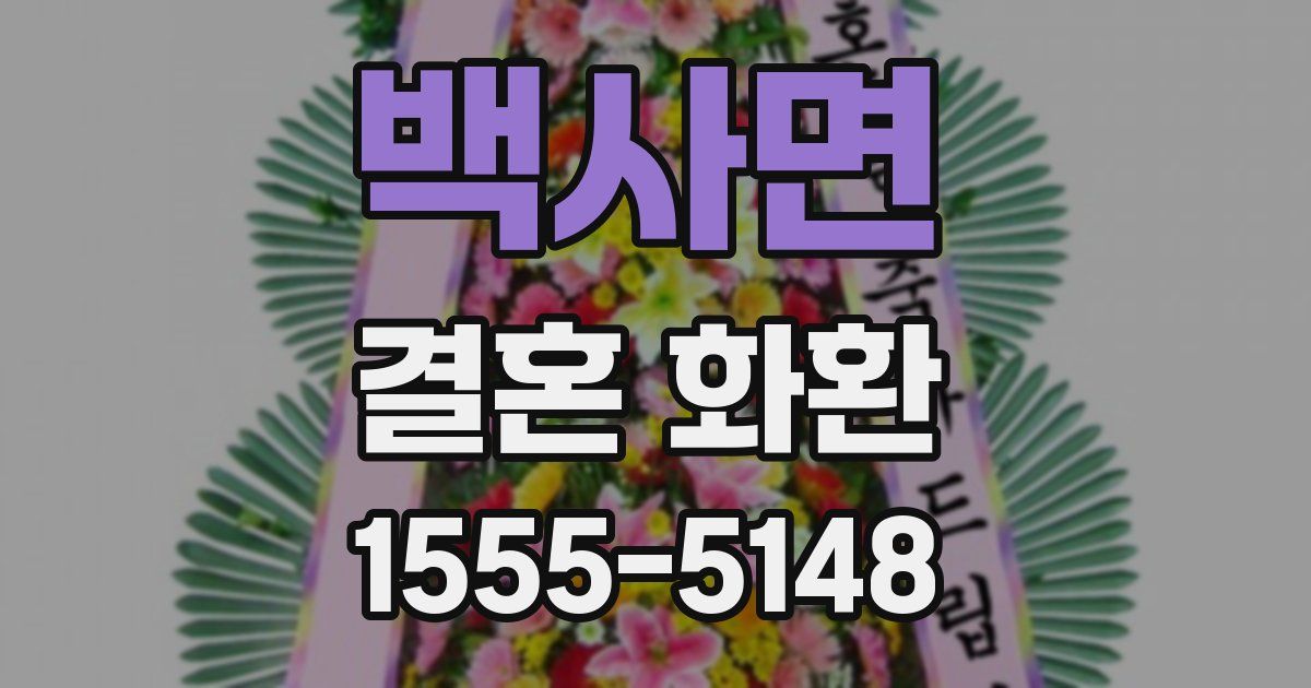 백사면 결혼 화환