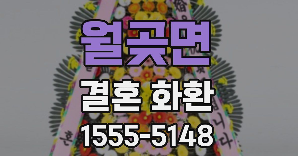 월곶면 결혼 화환