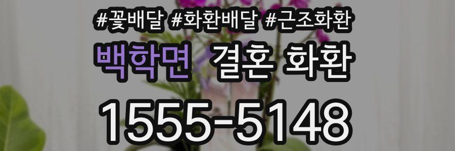 백학면 결혼 화환