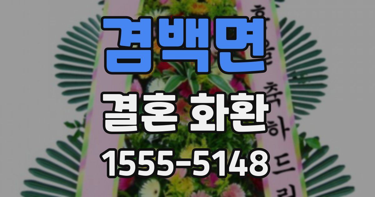 겸백면 결혼 화환