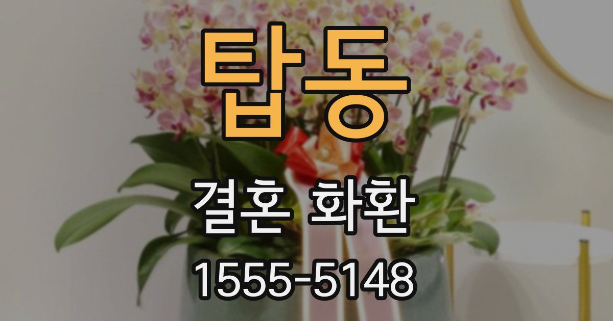 탑동 결혼 화환