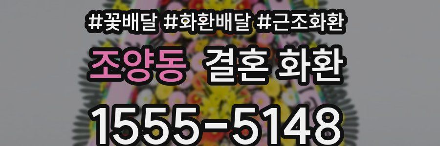 조양동 결혼 화환
