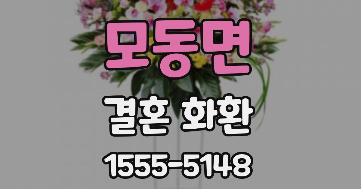 모동면 결혼 화환