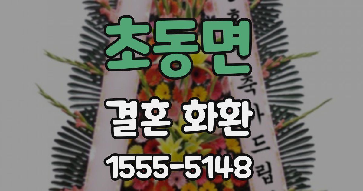 초동면 결혼 화환
