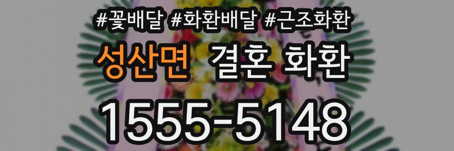 성산면 결혼 화환