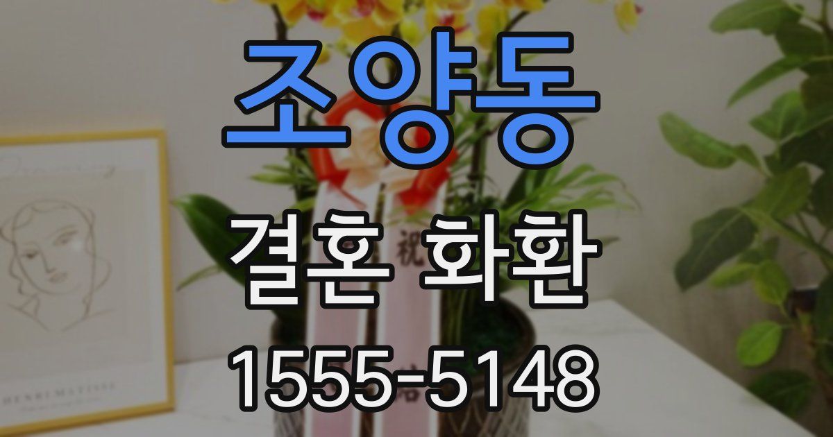 조양동 결혼 화환