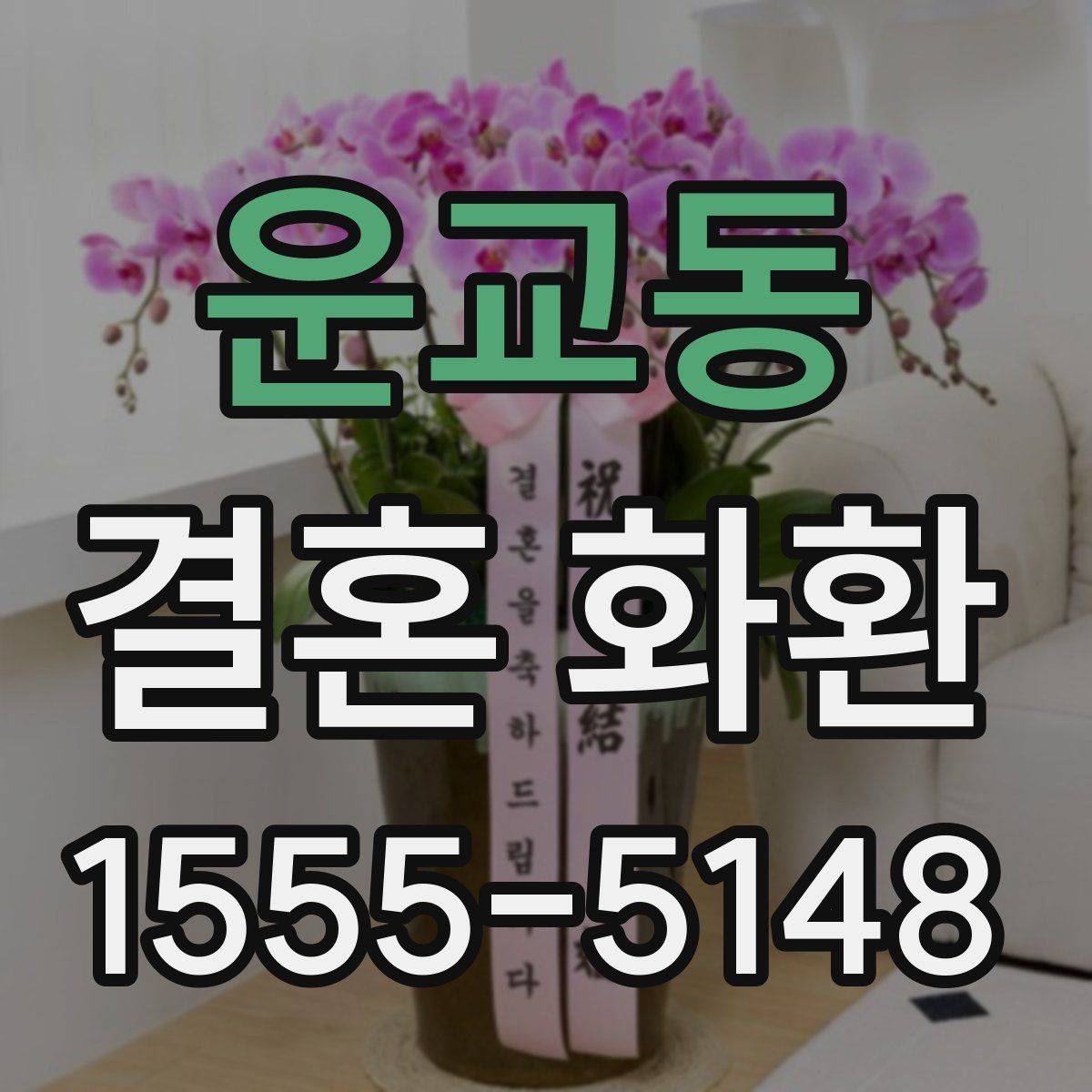 운교동 결혼 화환
