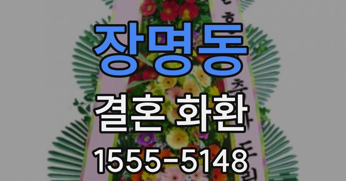 장명동 결혼 화환
