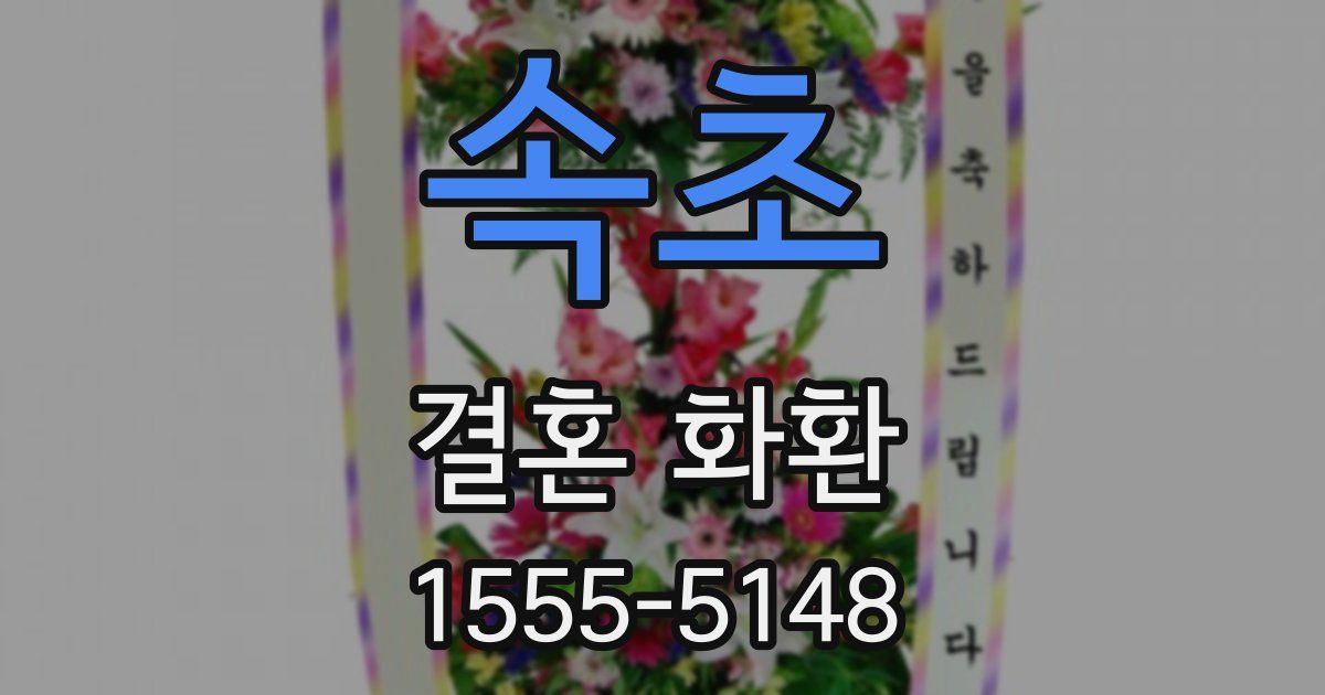 속초 결혼 화환