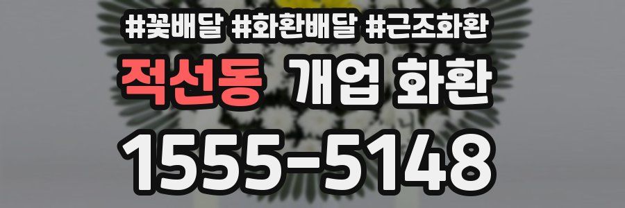 적선동 개업 화환