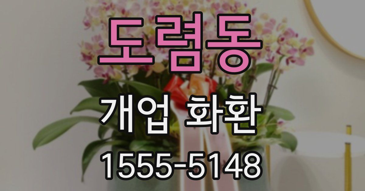 도렴동 개업 화환