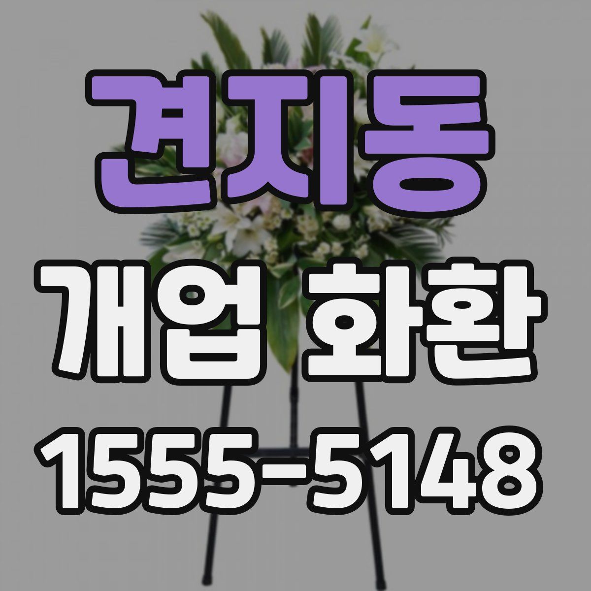 견지동 개업 화환