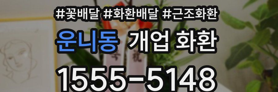 운니동 개업 화환