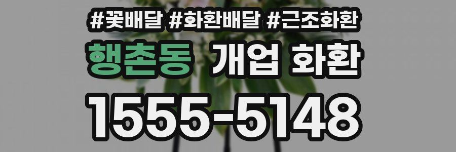행촌동 개업 화환