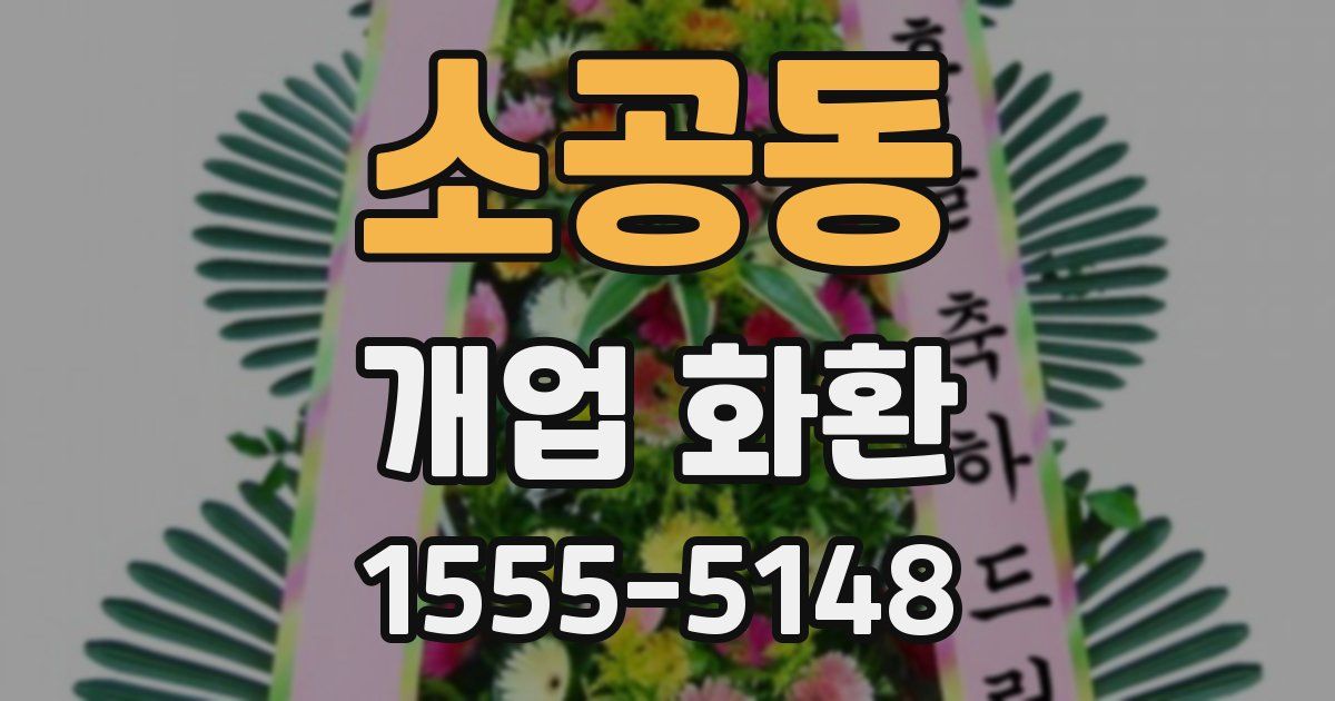 소공동 개업 화환