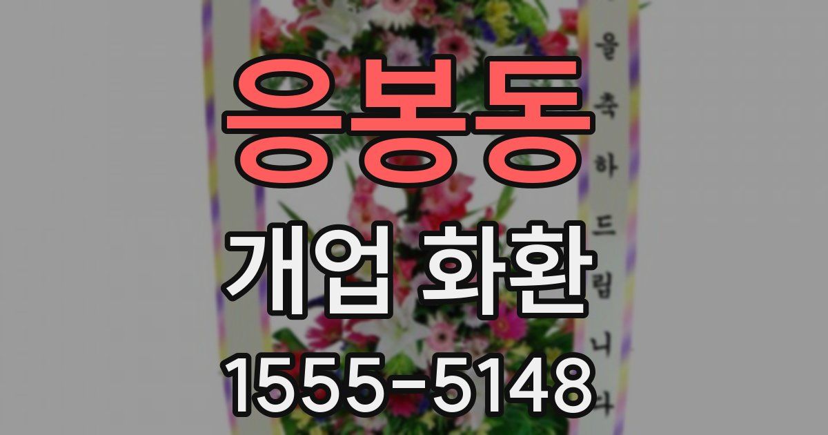 응봉동 개업 화환