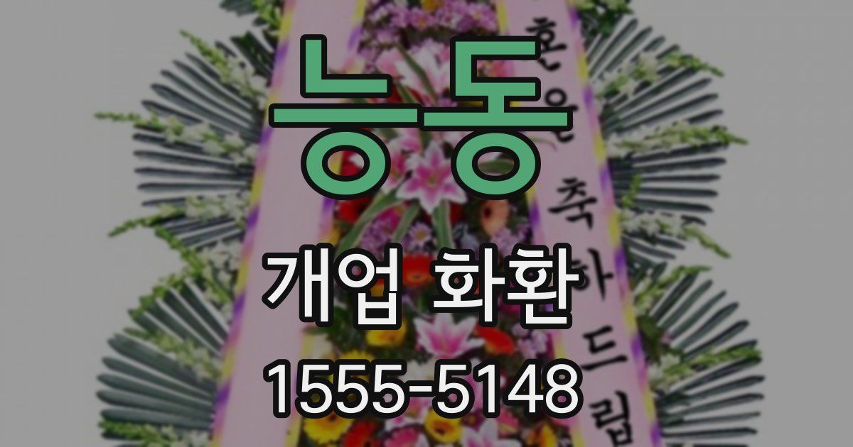 능동 개업 화환