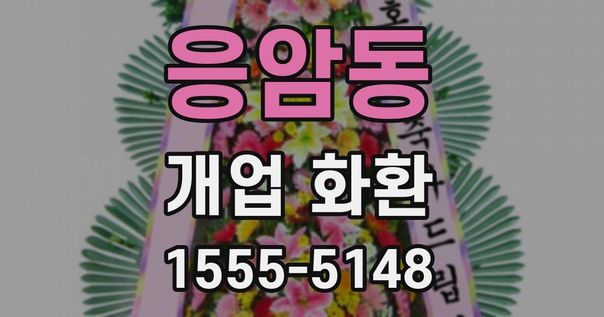 응암동 개업 화환