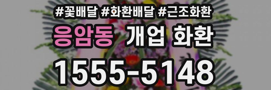 응암동 개업 화환