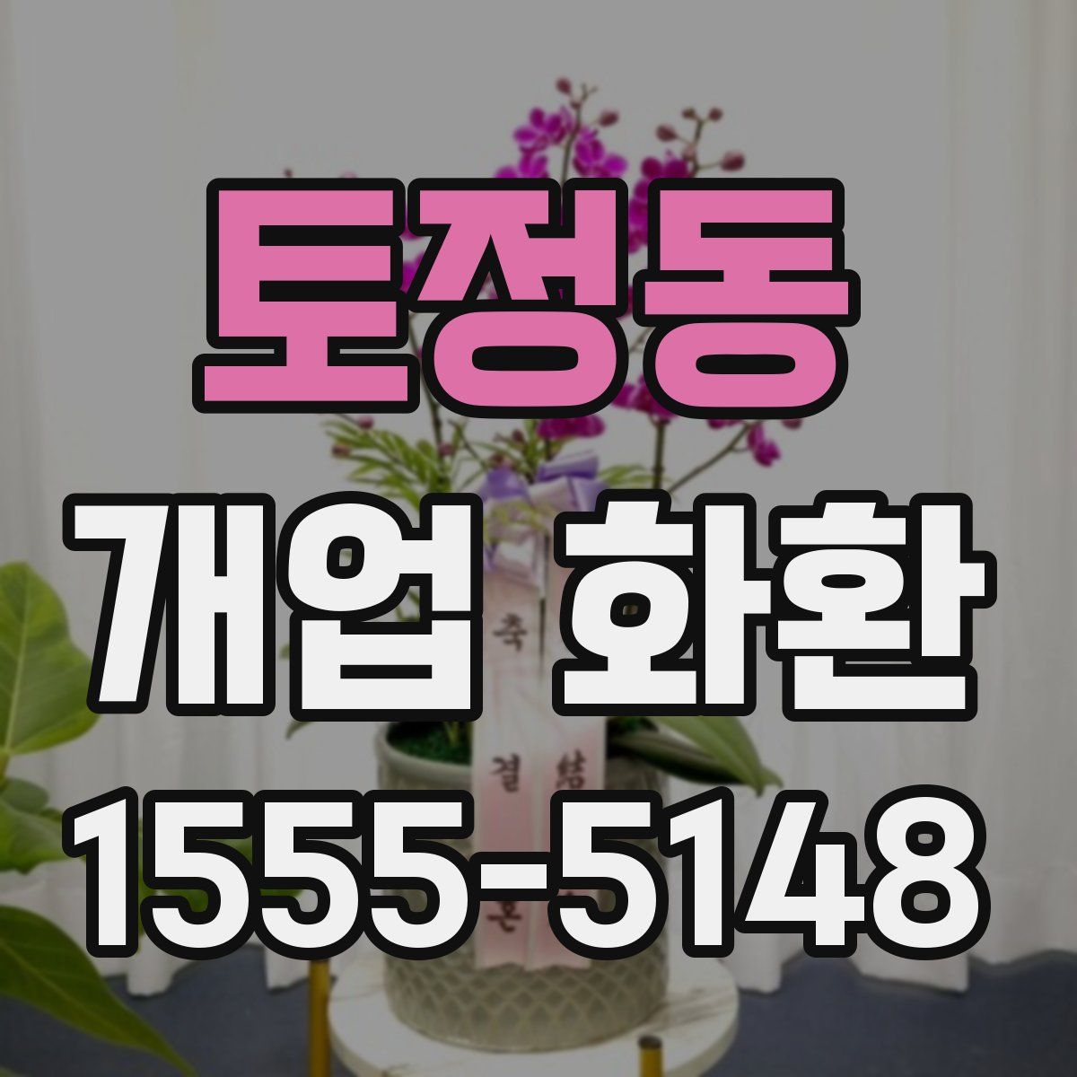 토정동 개업 화환