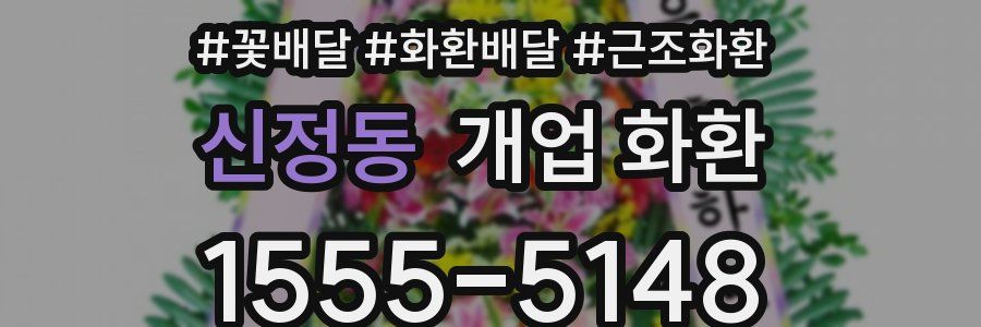 신정동 개업 화환