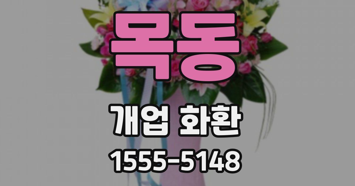 목동 개업 화환