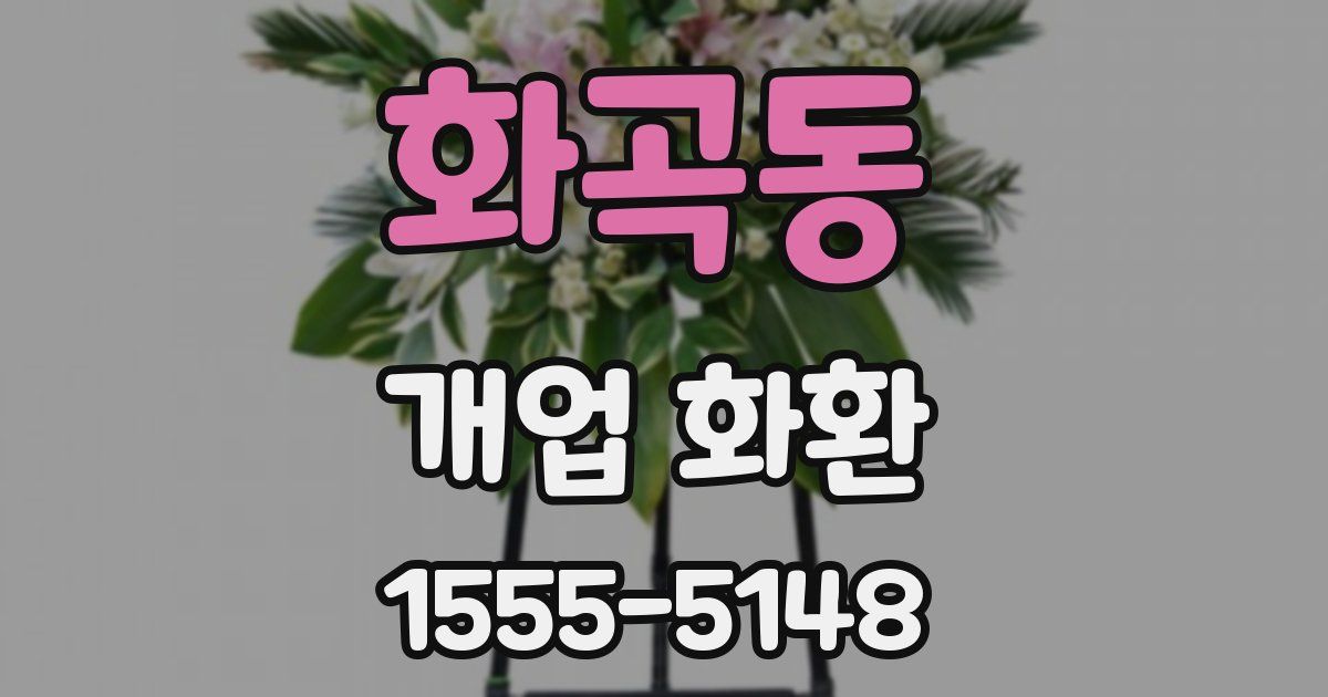 화곡동 개업 화환