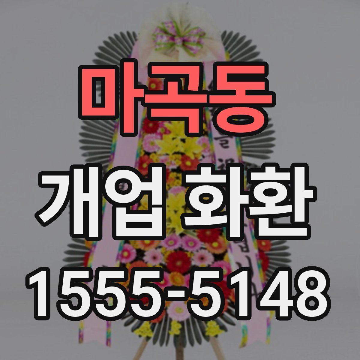 마곡동 개업 화환