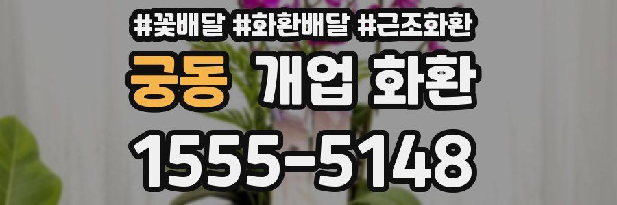 궁동 개업 화환