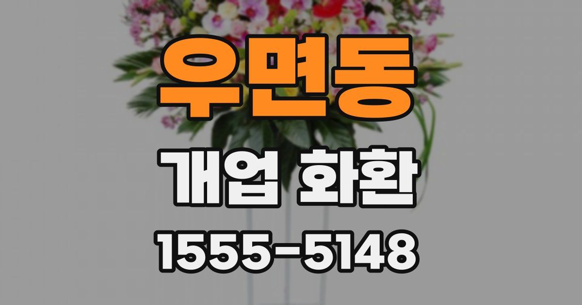 우면동 개업 화환